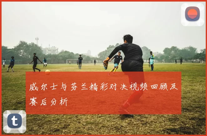 威尔士与芬兰精彩对决视频回顾及赛后分析