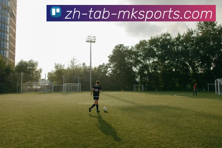 2016年欧洲杯参赛球队全解析及其历史战绩回顾